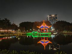 -金砂公园