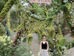 -沂蒙山旅游区云蒙景区(蒙山国家森林公园)