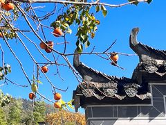 -塔川景区