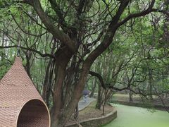 -东湖落雁景区