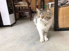 -五月木作·DIY木作文创体验店(北京路店)