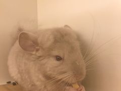 -龙猫仔乐园(惠福东路店)