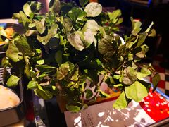 -一哥澳门豆捞·澳门风打边炉(高德置地店)