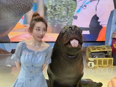 -三亚海昌梦幻海洋不夜城