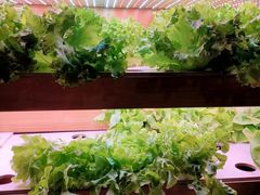 -满堂欢豆捞坊(美丽华大酒店店)