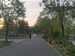 -东郊湿地公园