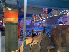 -海合安青岛极地海洋公园
