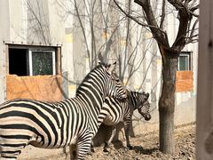 -水上乐园·欢乐世界