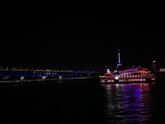 -武汉关码头(轮渡站)