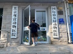 -北京观赏动物医院·24小时大型综合·猫专科·异宠专科