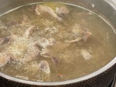 -鸽鸟轩(石岐店)