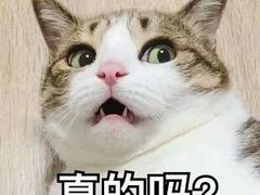 -满记甜品(南京虹悦城三店)