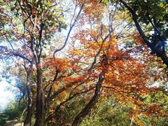 -杭州半山国家森林公园