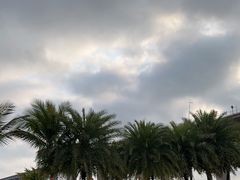 -中澳友谊花园