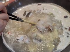 -京门活鱼馆·鱼火锅(百子湾（原红庙）店)