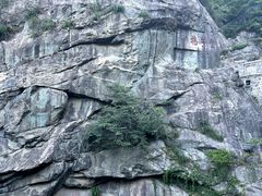 -泰山风景名胜区