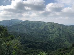 -阳台山森林公园