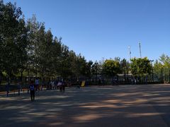 -东升文体公园