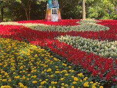 -上海共青森林公园