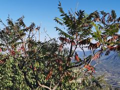 -鹫峰国家森林公园