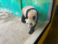-杭州野生动物世界
