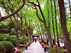 -上海醉白池公园