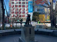 -涩谷区
