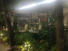 -蘇河湾·新鲁菜·泰山宴(泰山店)
