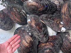 -八仔大富楼·河鲜(西江店)