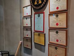 -温鉴良实用咏春拳