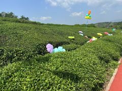 -西湖天地