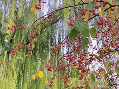 -元大都城垣遗址公园