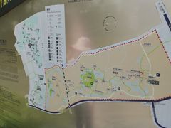 -桤木河湿地公园