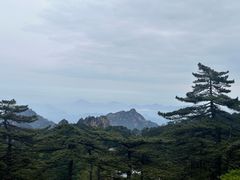 -黄山风景区