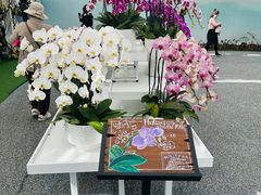-上海鲜花港