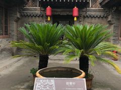 -山西王家大院