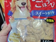 -奶牛家宠物酒店(嘉宏云顶店)