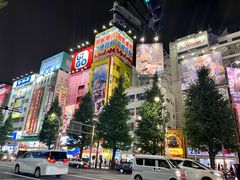 -秋叶原电器街