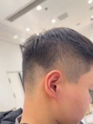 -YESIDO椰岛造型