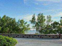 -宝安西湾红树林湿地公园