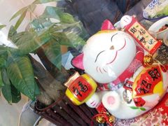 -蜗牛小馆醉乡民谣云南菜(惠新西里店)