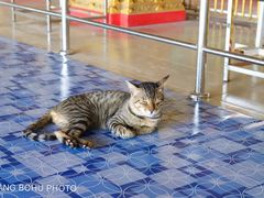 -ခြောက်ထပ်ကြီးရွှေသာလျောင်းဘုရားကြီး