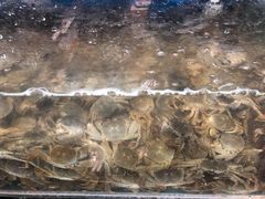 -青石桥市场北1-27号