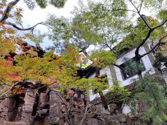 -扬州狮子楼·非遗淮扬菜(东关街店)