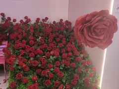 -奥园广场(广州番禺福德路店)