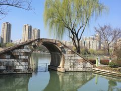 -青枫公园