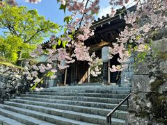 -三千院