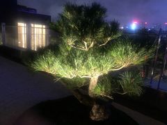 -丽思卡尔顿·炙焰·铁板烧餐厅
