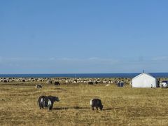 -青海湖国家重点风景名胜区