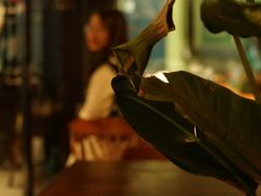 -上古咖啡ShadowCafe&Reastaurant(哈尔滨中央大街店)